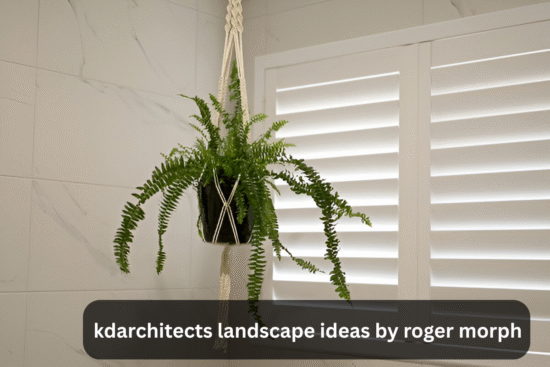 kdarchitects landscape ideas by roger morph