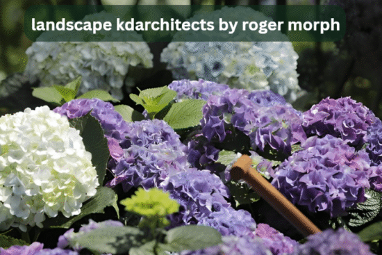 landscape kdarchitects by roger morph