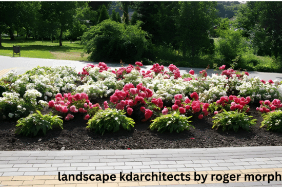 landscape kdarchitects by roger morph