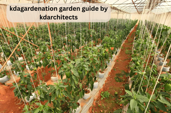 kdagardenation garden guide by kdarchitects