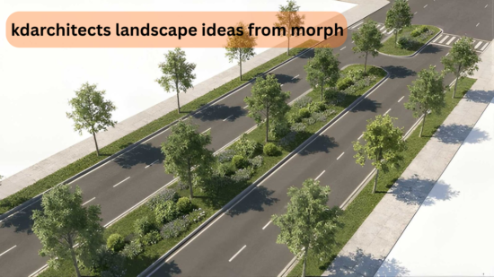 kdarchitects landscape ideas from morph