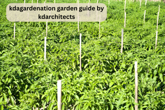 kdagardenation garden guide by kdarchitects