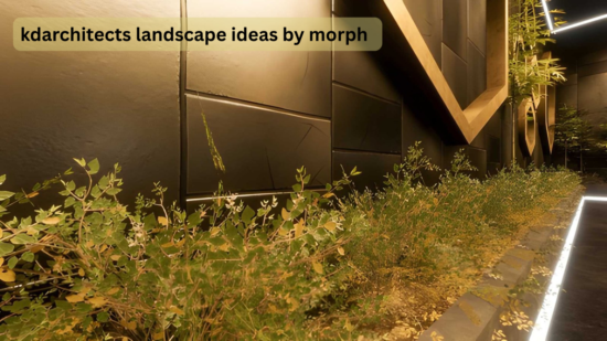 kdarchitects landscape ideas by morph