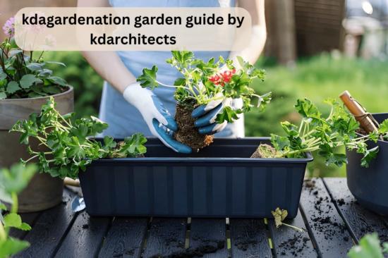 kdagardenation garden guide by kdarchitects