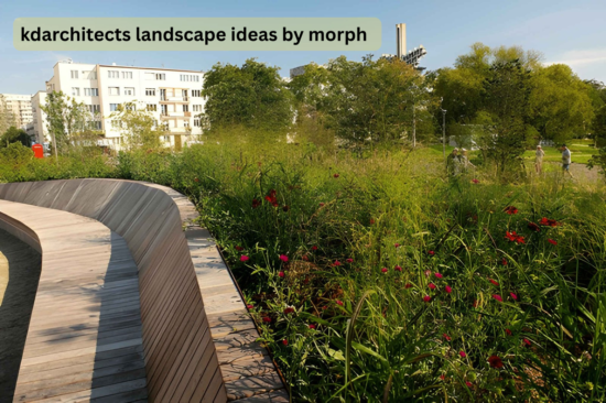 kdarchitects landscape ideas by morph