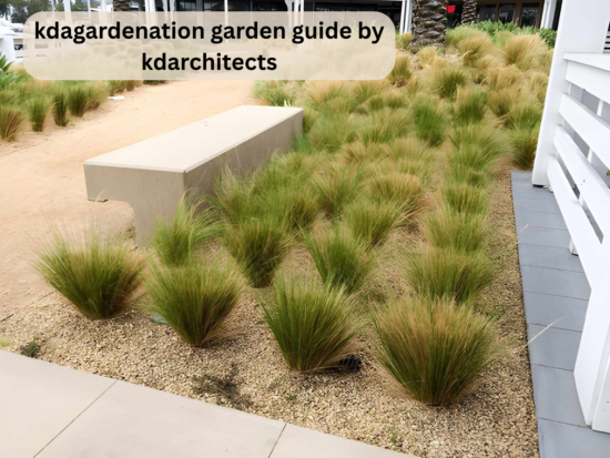 kdagardenation garden guide by kdarchitects