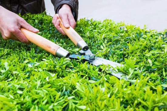 Trimming