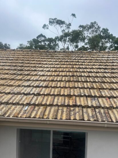 roof