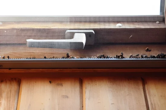 Reduce Pest Access